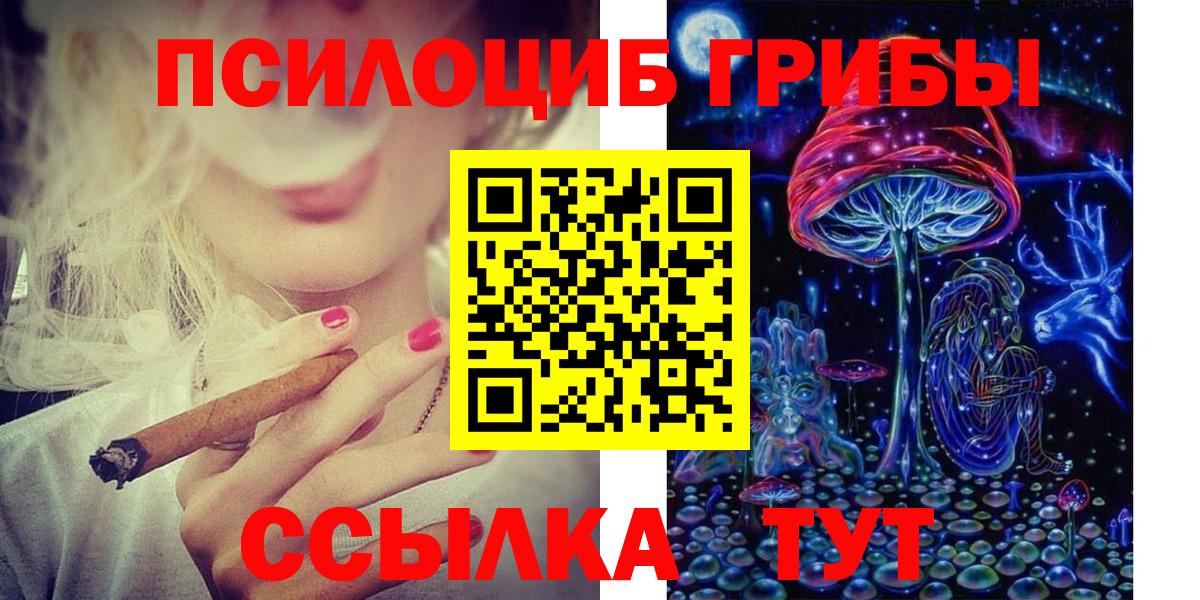 Кимры  Псилоцибиновые грибы MAGIC MUSHROOMS  Вход с VPN 